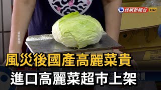 風災後國產高麗菜飆漲 進口高麗菜超市上架－民視台語新聞