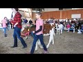 子供による仔牛のデモ 入場＆インタヴュー　calf demonstrations by children 2018 0407