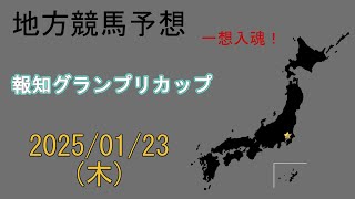 地方競馬予想　2025/1/23　船橋11R [報知グランプリカップ]