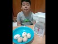 TUTORIAL MENIMBANG TELUR DENGAN TIMBANGAN DUDUK