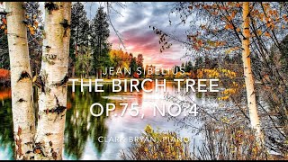 Jean Sibelius: The Birch Tree Op.75, No.4     Clark Bryan, piano