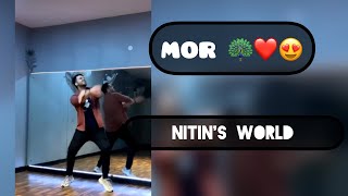 MOR 🦚 | Nitin'S World | punjabi song | Diljit Dosanjh | shadaa | official channel ❤️😍