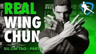 Wing Chun Applications - Sil Lim Tao Part 3