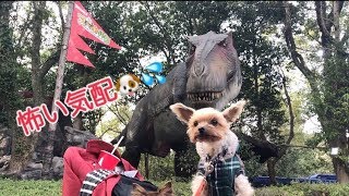 チワワちゃん\u0026ヨーキー君とハウステンボス散策④🐶💕恐怖体験第2弾😱