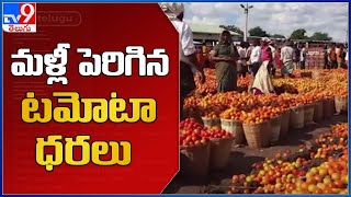 Tomato Price : మళ్లీ పెరిగిన టమోటా ధరలు - TV9