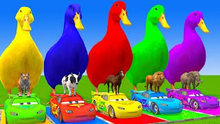 5 Giant Duck Cartoon,Cow,Elephant,Giraffe,Tiger,Lion, Paint Wild Animals Crossing Fountain Animation