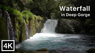 Beautiful Waterfall in Deep Gorge | Kumamoto Japan | ASMR, Nature Ambience Sounds for Relaxation