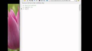Matlab Basics Tutorial 8-Transfer functions [Bode Plot & Nyquist Plot]