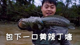 【戶外捕魚VLOG】花800包下一口黃辣丁塘，沒想到魚塘裏這麼多貨！#三農