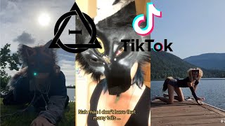 Therian and Quadrobics TikToks || Compilation 🐾🍂 || Alterhumans of TikTok #36