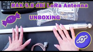 RAK 5.8 dBi LoRa Antenna Unboxing