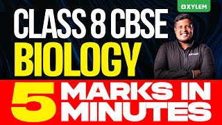 Class 8 CBSE Biology | 5 Marks in 5 Minutes | Xylem Class 8 CBSE