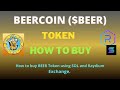 How to Buy BEERCOIN (BEER) Token Using Raydium Exchange