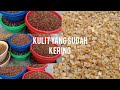 Kulit sapi yang sudah kering siap di proses jadi kerupuk