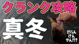 冬のクランキングゲーム！冬でもクランク炸裂！？【バス釣り】