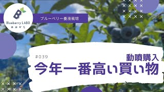 【後悔なし！】今年一番高い買い物しました｜プロのブルーベリー農家が必要なもの