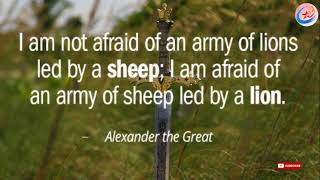 Alexander the great motivational quotes