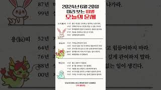 미리 보는 2024년 6월 20일 띠별 오늘의 운세