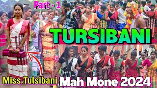 Tulsibani Mahmone Lagne Enej Hepraw | Tulsibani Lagne Enej 2024 |@sarisantal08 | santali video