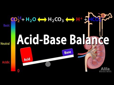 How does the body get rid of hydrogen ions?