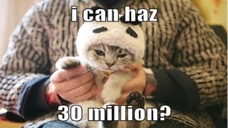 Funny cats FTW: Cheezburgers all round az lolcats netz US$30 million