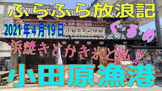 ふらふら放浪記プチ（小田原漁港)in2021年4月19日