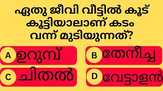 ഈ ജീവി വീട്ടിൽ കൂടുകൂട്ടിയാൽ.... കടം കുന്നുകൂടി മുടിയും..!psc/gk/Malayalam