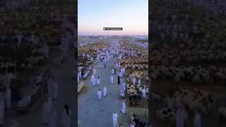 আজকে সৌদি আরবে ঈদ। সুবহানআল্লাহ #viral #viralshort #viral #subhanallah #eidmubarak #saudi