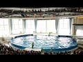 アクアワールド茨城県大洗水族館　イルカ・アシカ　オーシャンライブ　2022.04.02　13 30～