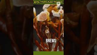 ഇതു നിങ്ങൾക്കറിയാമോ 😳😳#shortsfeed #facts #shortvideos #viralvideos #subscribe #shorts #viralshort