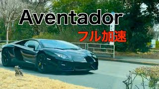 【爆音】ランボルギーニ アヴェンタドール フル加速‼️ イヤホン推奨🎧