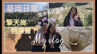 華岡日常 vlog 擎天崗翹課篇 第一次去擎天崗居然幸運的......