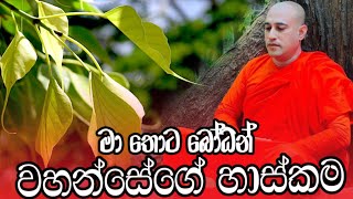 මංනාරම මා තොට රජමහා විහාරස්ථානයේ  අෂ්ඨඵල බෝධීන් වහන්සේගේ හාස්කම් | පොල්ගහවෙල මලියදේව හාමුදුරුවෝ 🙏