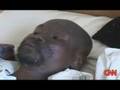 [CNN] Zimbabwe Opposition Quits Election          2008.06.23
