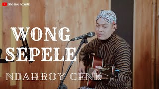 Wong Sepele - Ndarboy Genk  Cover By Siho Live Acoustic