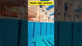 පීනන්න කලින් දැනගන්න | Swimming Facts - Gamarala Shorts