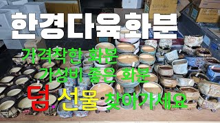 2023년 5월 2일 영상(94회차) #한경다육화분 #수제다육화분 #공방분 #가성비좋은화분