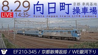 【LIVE】向日町操車場ライブカメラ 2022-08-29 14:35- Kyoto Japan train live camera