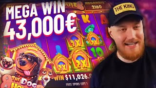 Streamer Mega win 43 000€ on The Dog House Slot - Top 5 Biggest Wins of week