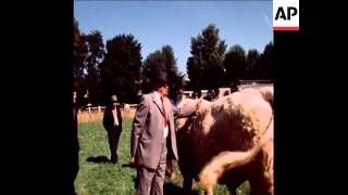 SYND 9-9-73 CHAMPION CATTLE SHOW IN VICHY