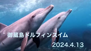 2024.4.13  御蔵島ドルフィンスイム