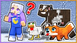 MOBになって最強かくれんぼチャンピオンを決めよう！【 マイクラ / まいくら / Minecraft 】