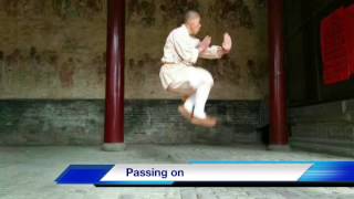 Grandmaster Shi De Yang - Shaolin Kung Fu Worldwide