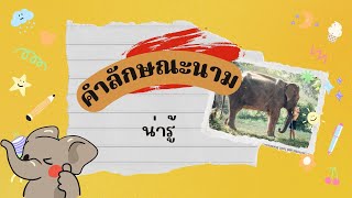 คำลักษณะนาม (ช้าง)