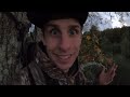 deer hunting with walmart s cheapest bow and arrow