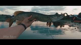 Dabas Bērns - Cīņa ar Līdaku ( pike fishing )