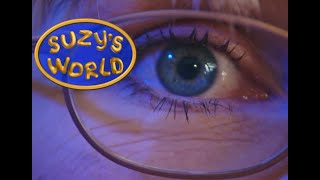 How do your eyes work? - Suzy's World