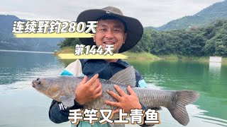 連續野釣280天 第144天 東邊不亮西邊亮 手竿又上青魚