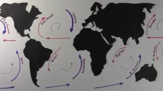 Surface Ocean Currents and Gyres