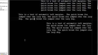 SlickEdit - Automatic Left Margin